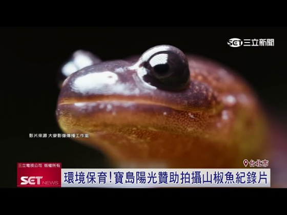 【SET NEWS】Environmental Conservation! Formosa Solar Sponsors Salamander Documentary(圖)