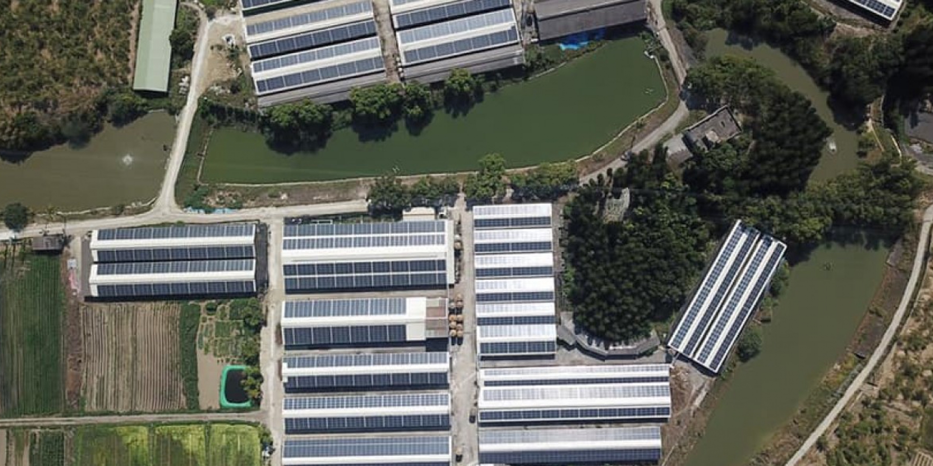 臺南市畜舍屋頂 2MW